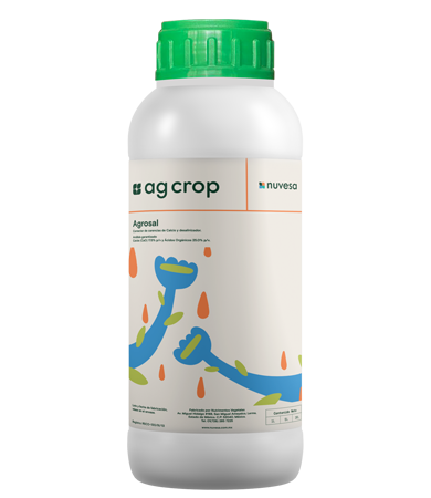 Presentation bottle