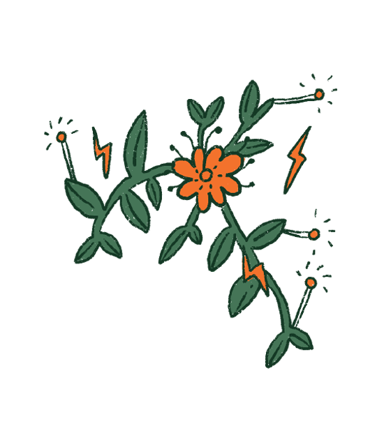 FAQ Image