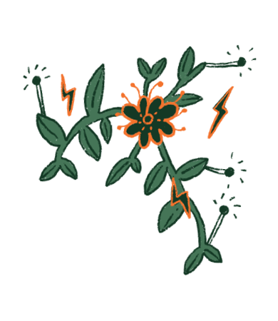 Etiqueta