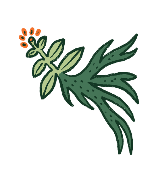 FAQ Image
