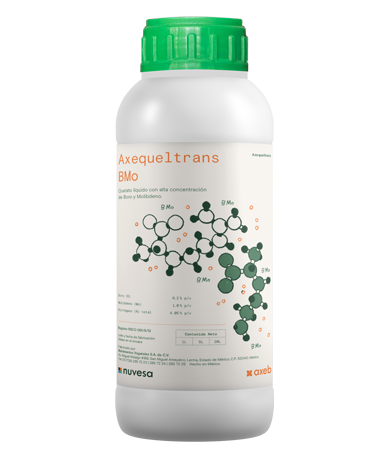 Presentation bottle