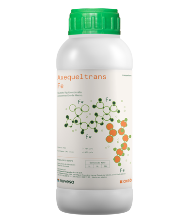 Presentation bottle