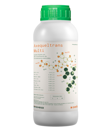 Presentation bottle