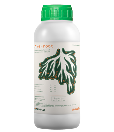 Presentation bottle