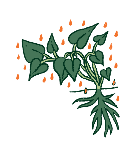 FAQ Image