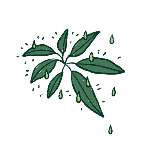 FAQ Image