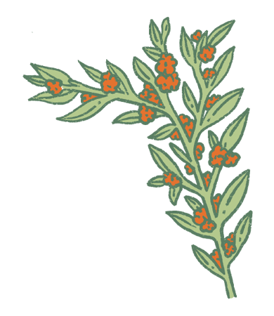 Etiqueta