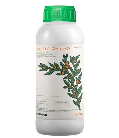 Presentation bottle