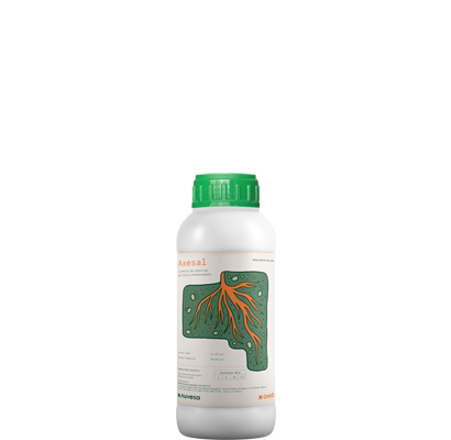 Axesal