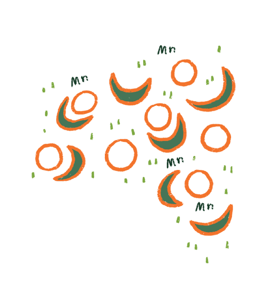 FAQ Image