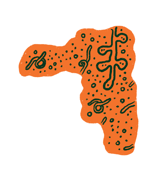 FAQ Image