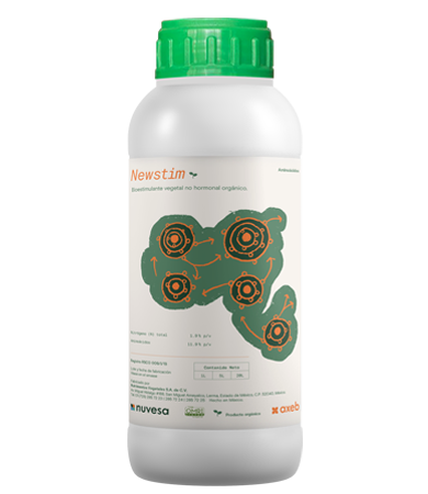 Presentation bottle