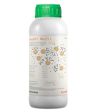 Presentation bottle