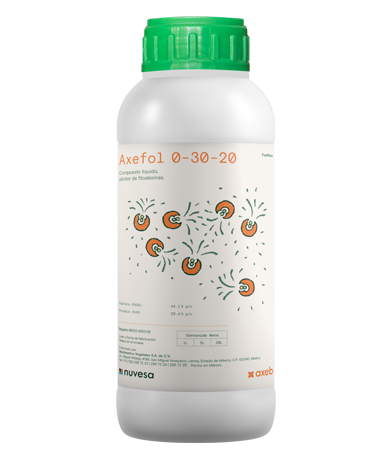 Presentation bottle
