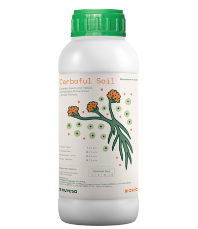 Presentation bottle