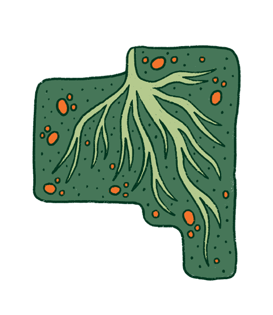 Superflow Ca A Image